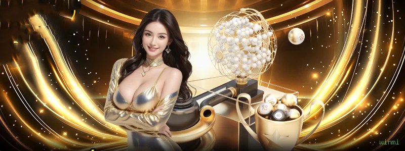 Controles de pagamento e BRL em winmi